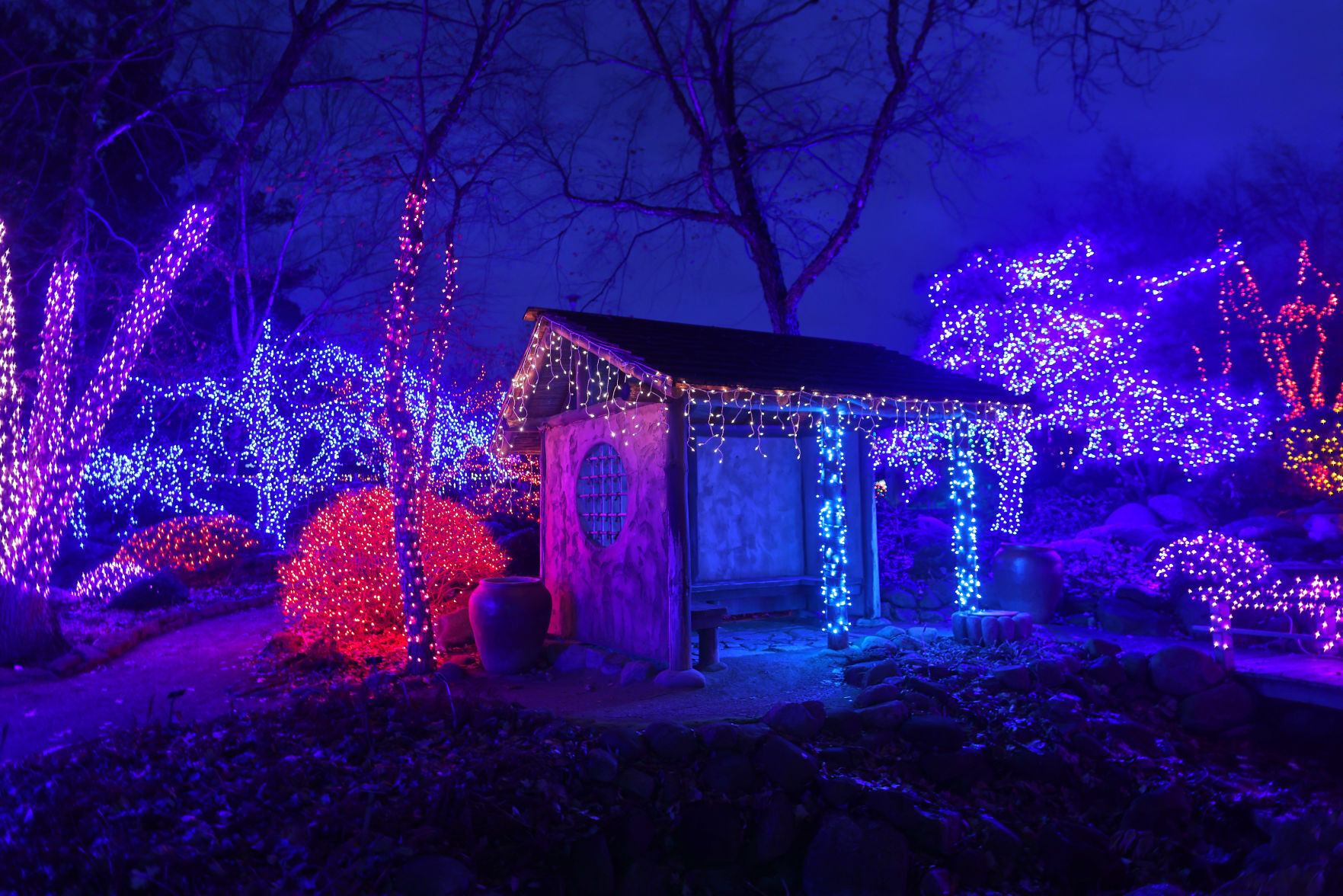 JVG_211121_LIGHTS17